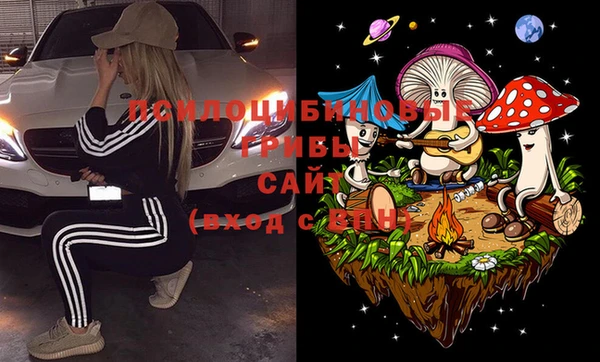 прущие грибы Кукмор