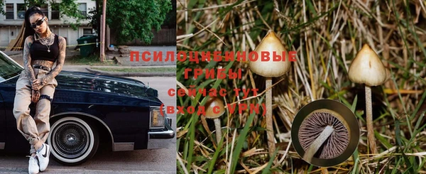 винт Куйбышев