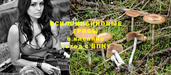 альфа пвп Елабуга
