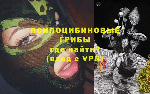 прущие грибы Кукмор