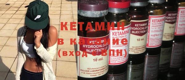 прущие грибы Кукмор