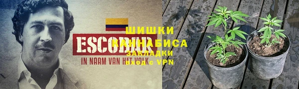 прущие грибы Кукмор