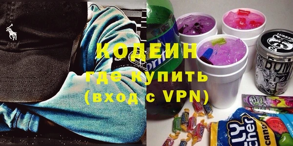 прущие грибы Кукмор