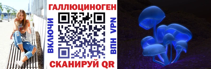 Псилоцибиновые грибы Psilocybe  Кызыл 